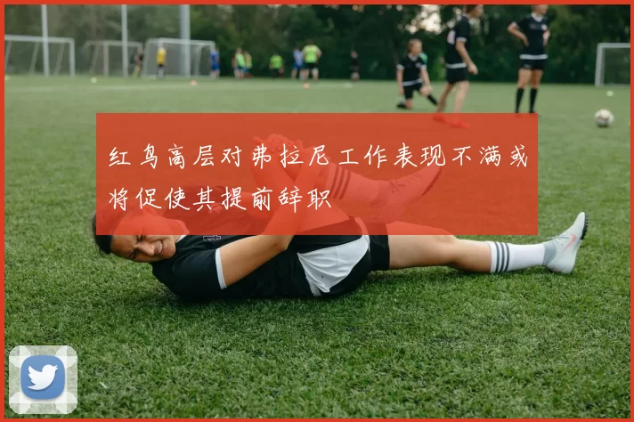 红鸟高层对弗拉尼工作表现不满或将促使其提前辞职